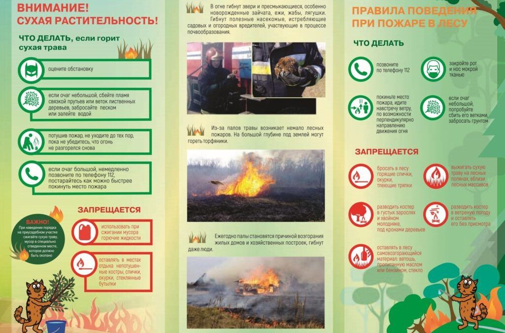 Внимание! Сухая растительность!