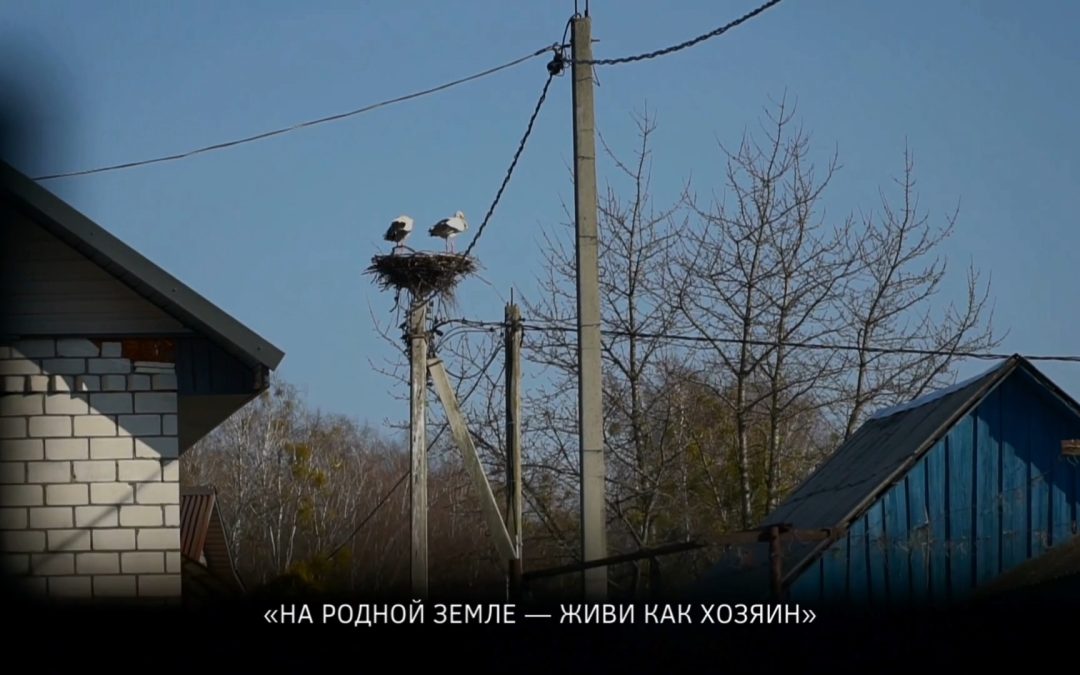 На родной земле — живи как хозяин