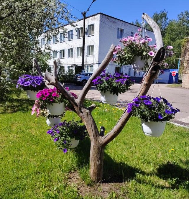 Яркие краски мая